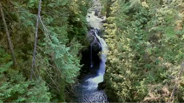 Lynn Canyon Park