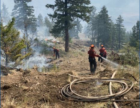 North Shore News - Wildfire