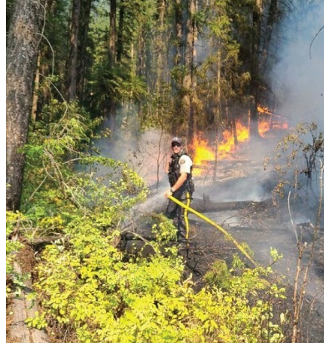 Forest Fire