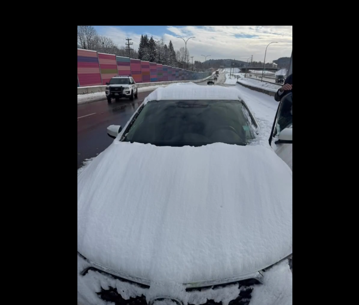 snow covered car