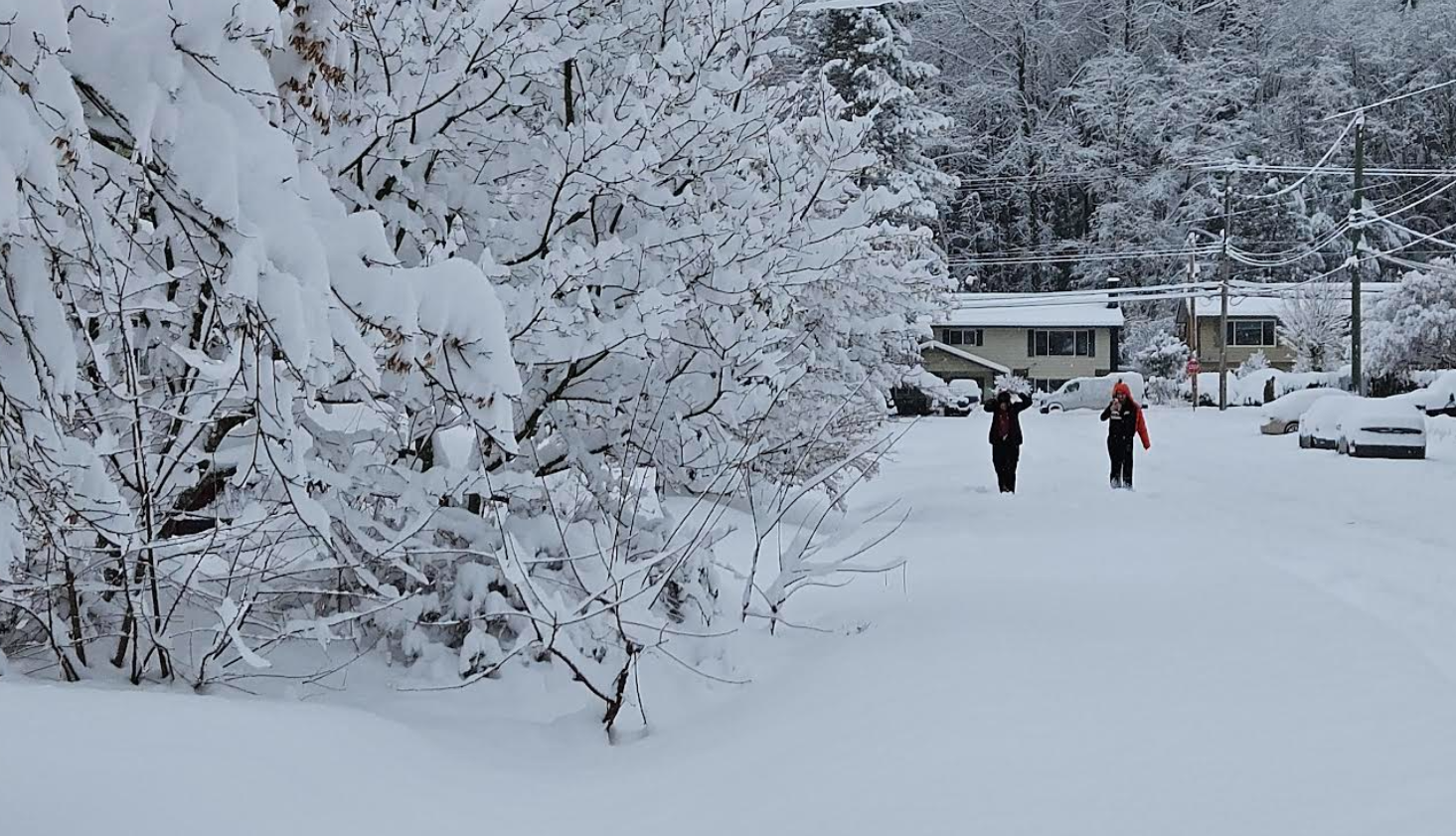 People walking in snow