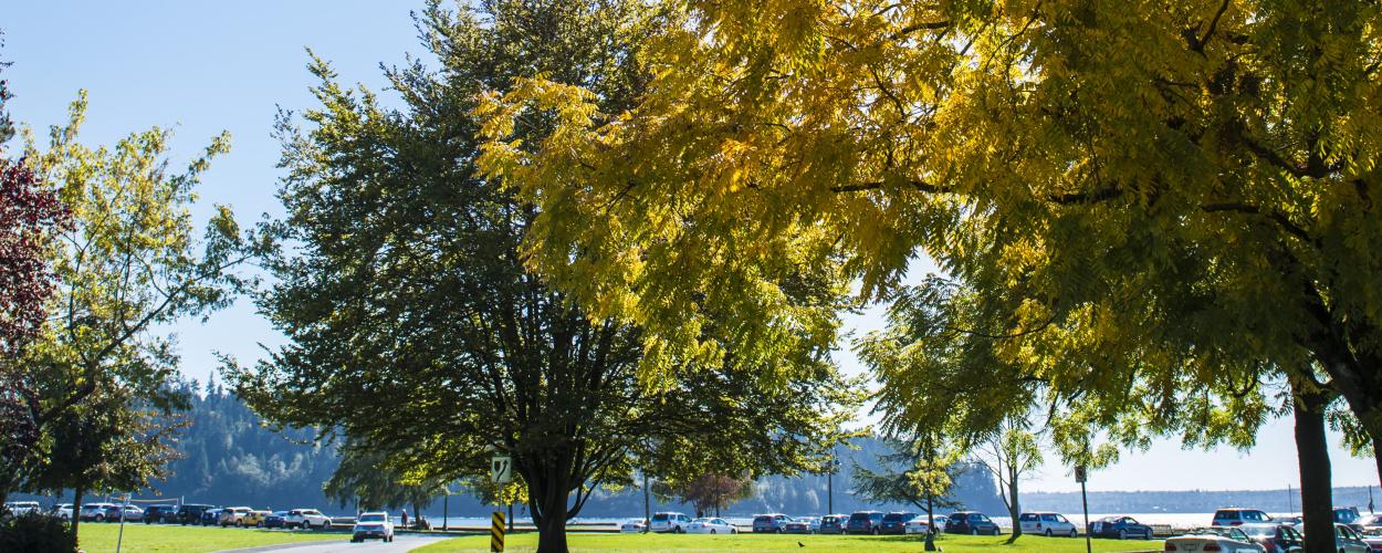 Ambleside Park