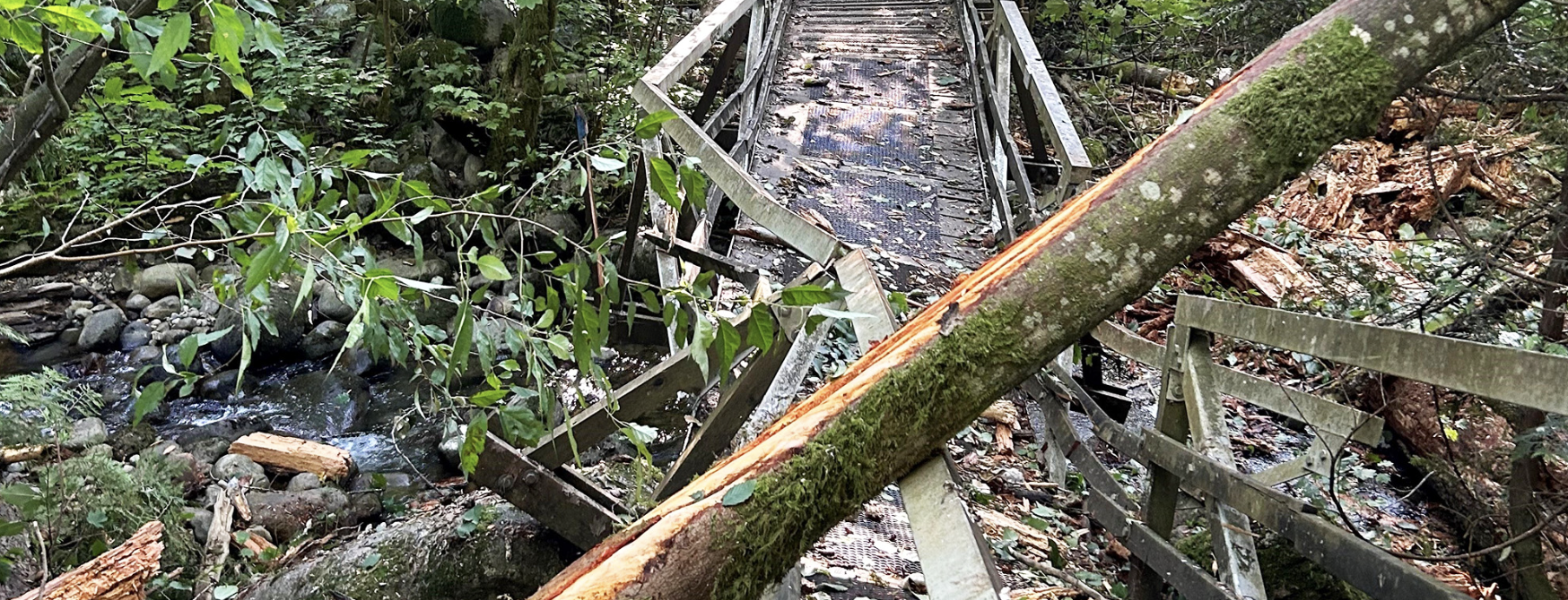 Hastings Creek Trail