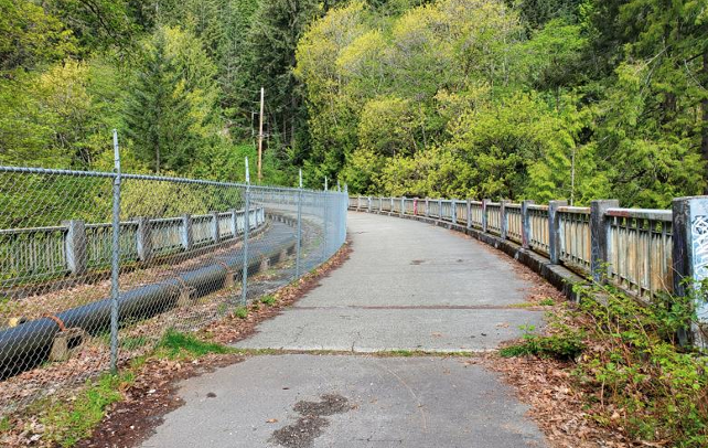 Nelson Canyon Bridge