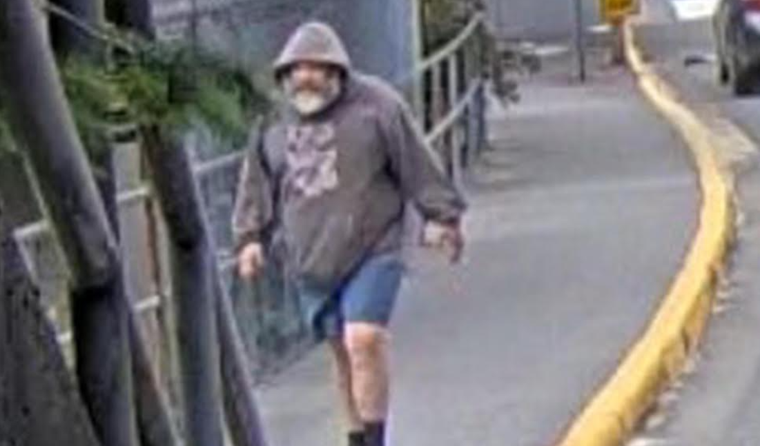 West Vancouver sexual assault suspect